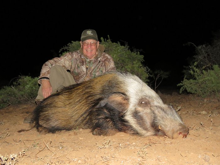 Hunting Bush Pig in South Africa