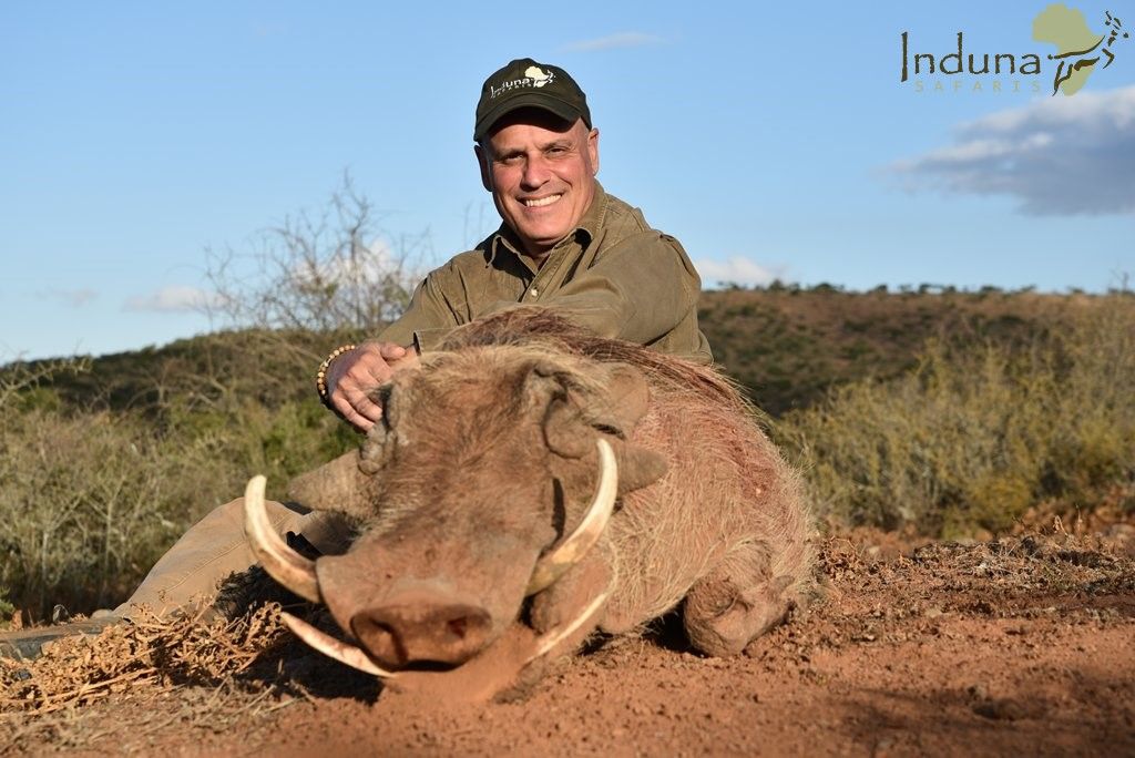 Hunting Warthog James