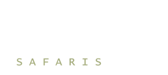 Hunting Safaris South Africa - logo
