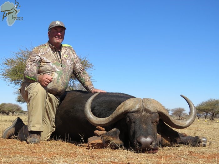 hunting buffalo in south africa