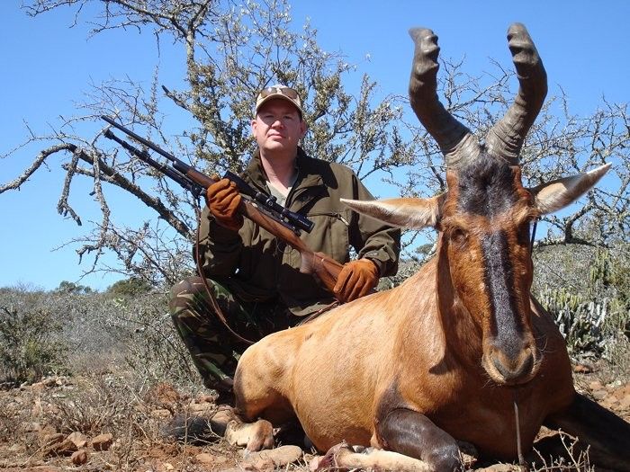 Trophy Hunting - Red Hartebeest